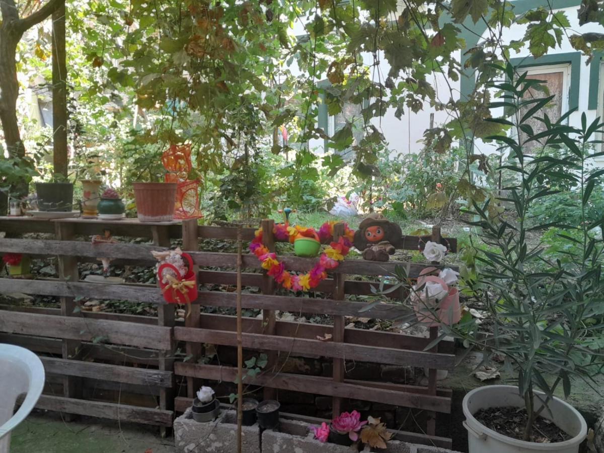 斯科普里Adem'S Cozy Terrace Retreat住宿加早餐旅馆 外观 照片